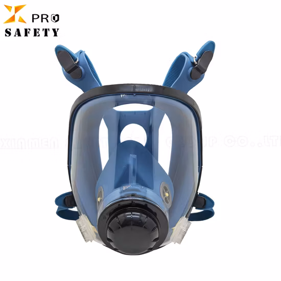 Full Face Dustproof Gas Mask Glasses Reusable Respirator Filter Activated Filter Carbon Mask