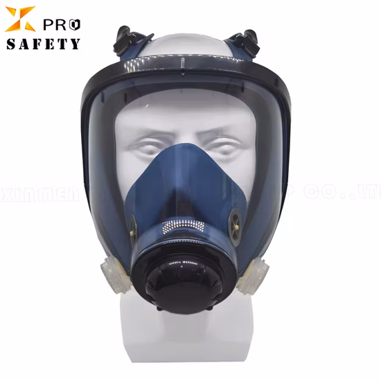 Full Face Dustproof Gas Mask Glasses Reusable Respirator Filter Activated Filter Carbon Mask